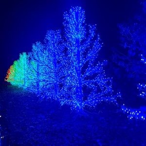 LIKE this listing to know when I am live! 😊